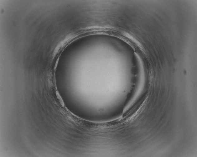 X0000072941357200607211051