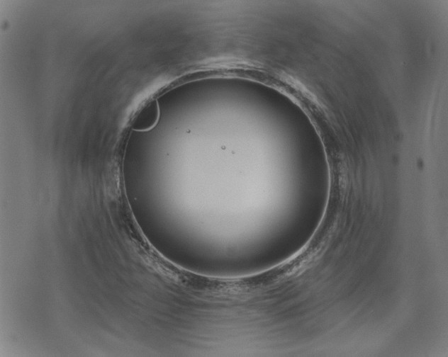 X0000072941358200607211051