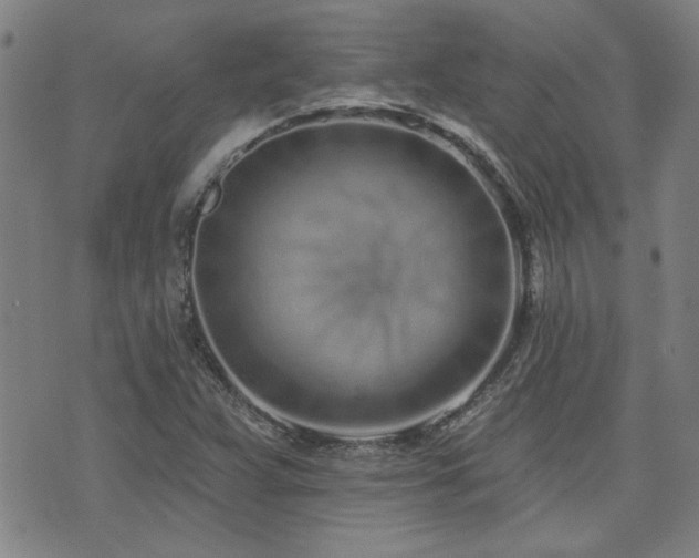 X0000072941359200607211051