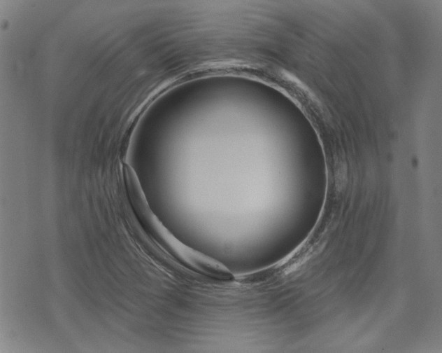 X0000072941361200607211051