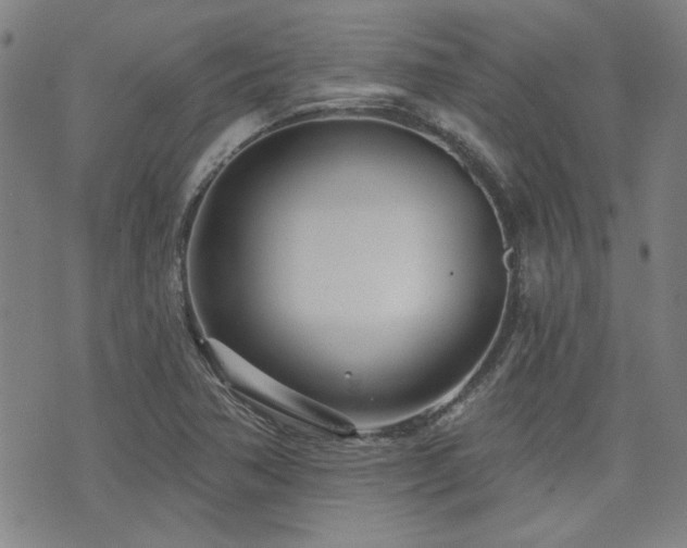 X0000072941362200607211051