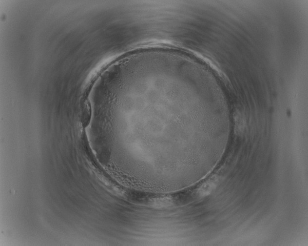 X0000072941363200607211051