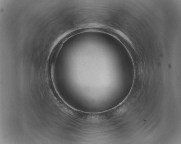 X0000072941364200607211051