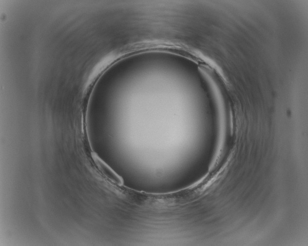 X0000072941365200607211051