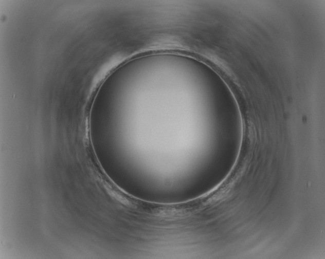 X0000072941366200607211051