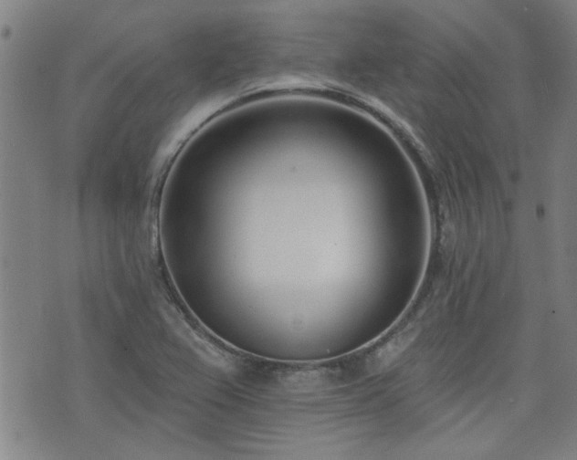 X0000072941367200607211051