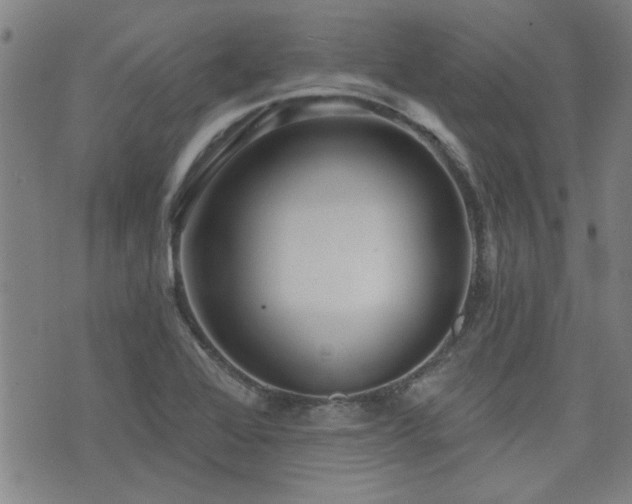 X0000072941368200607211051