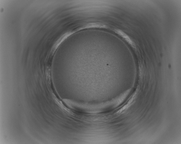 X0000072941369200607211051