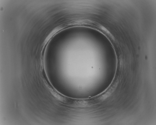 X0000072941370200607211051