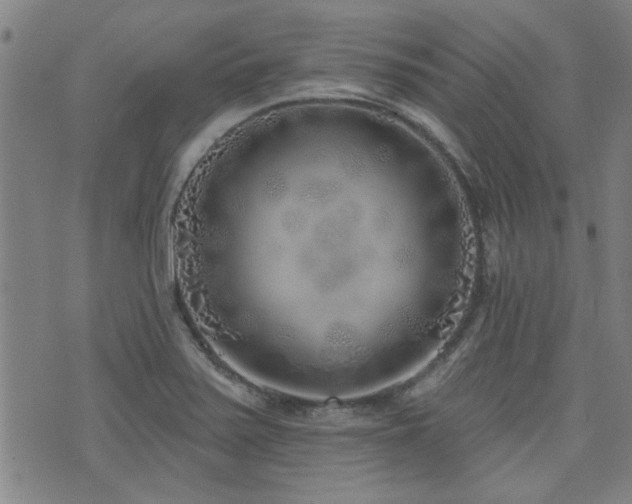 X0000072941371200607211051