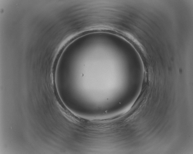 X0000072941372200607211051