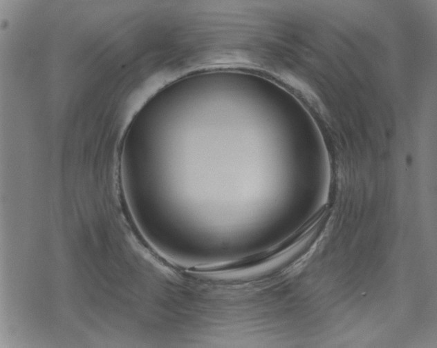 X0000072941374200607211051