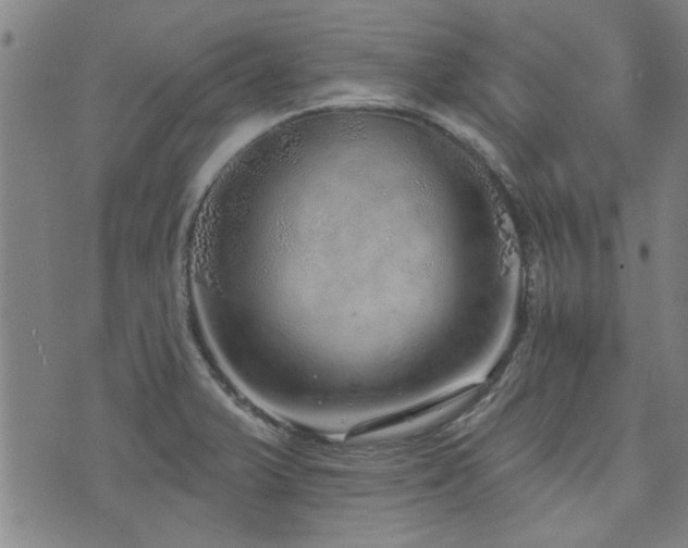 X0000072941375200607211051