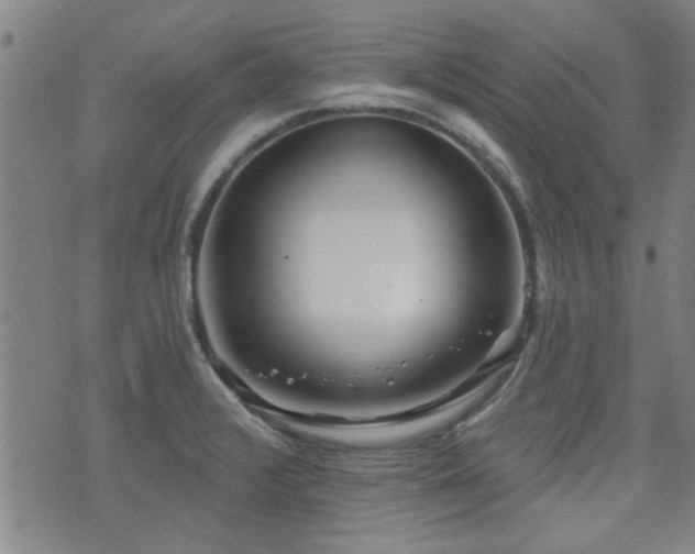 X0000072941376200607211051