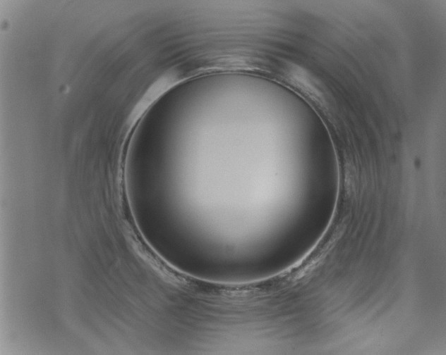 X0000072941378200607211051