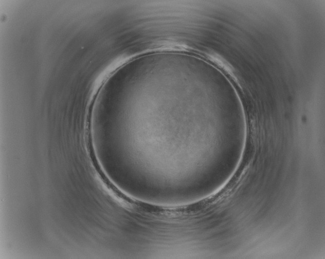 X0000072941379200607211051