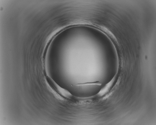 X0000072941380200607211051