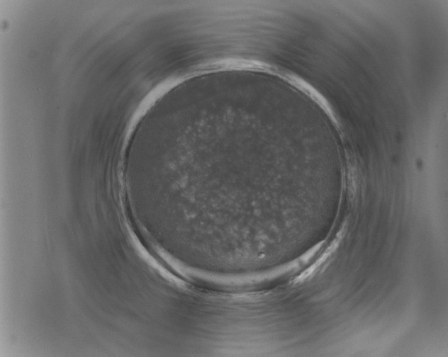 X0000072941381200607211051