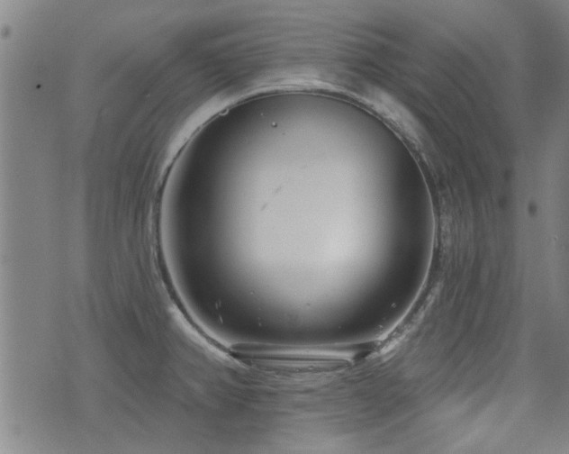 X0000072941382200607211051