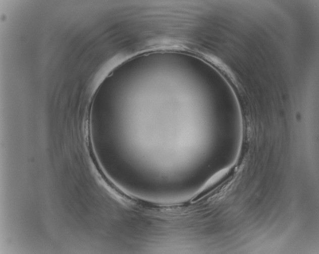 X0000072941383200607211051