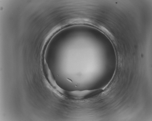 X0000072941384200607211051