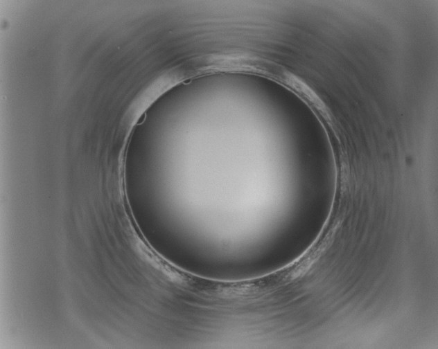 X0000072941386200607211051