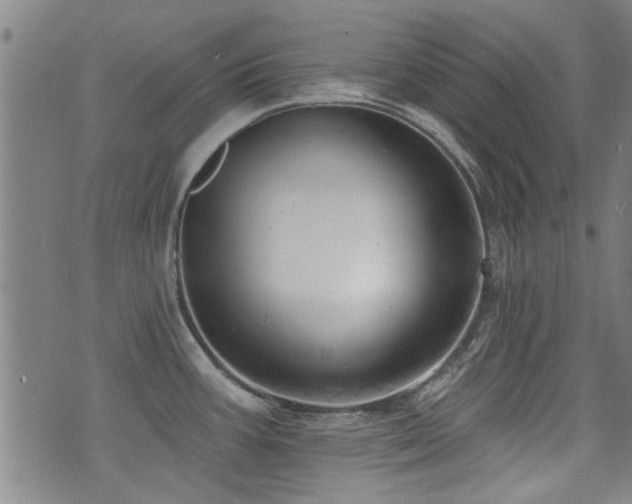 X0000072941387200607211051