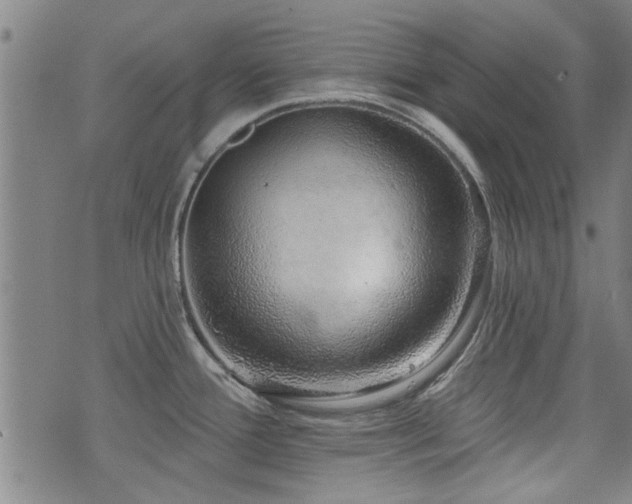 X0000072941388200607211051