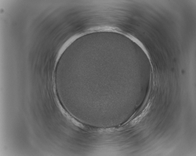 X0000072941389200607211051