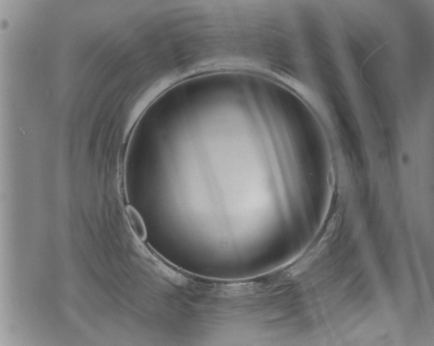 X0000072941390200607211050