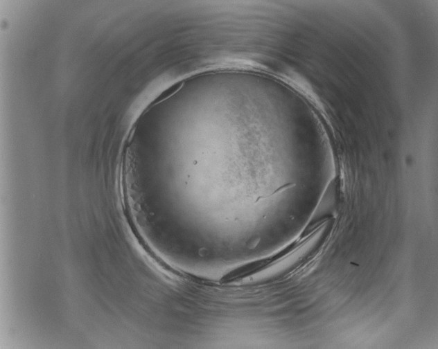 X0000072941391200607211050