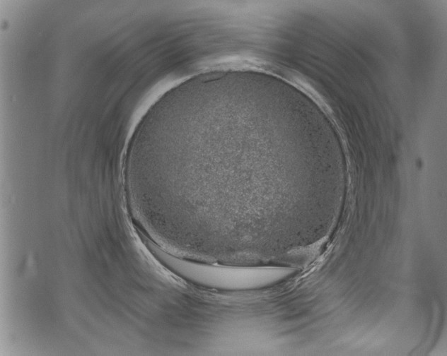 X0000072941392200607211050