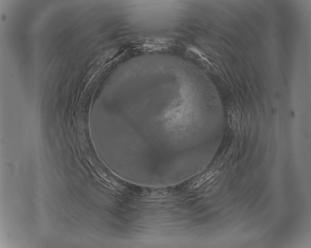 X0000072941393200607211050