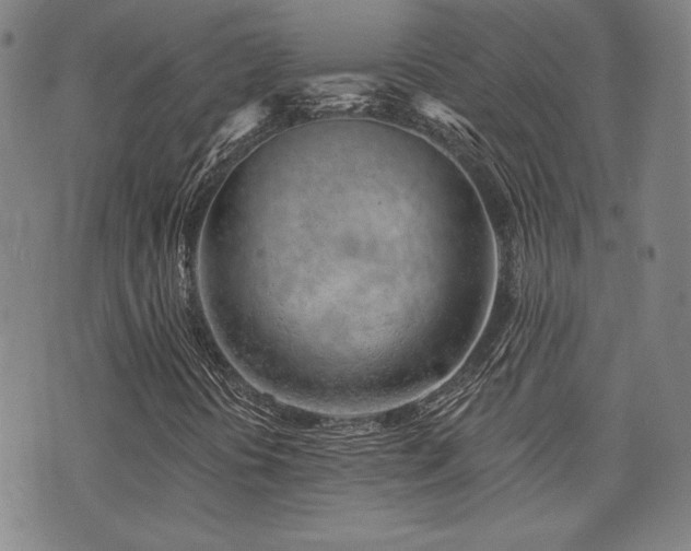 X0000072941394200607211050