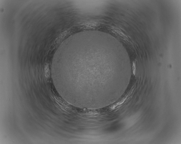 X0000072941395200607211050