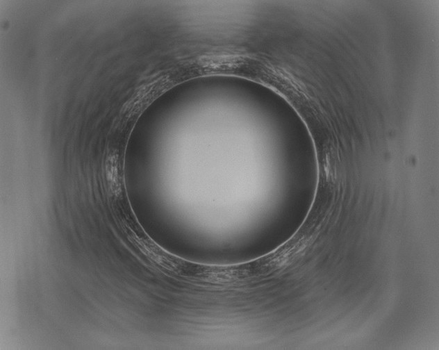 X0000072941396200607211050