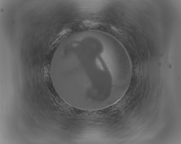 X0000072941397200607211050