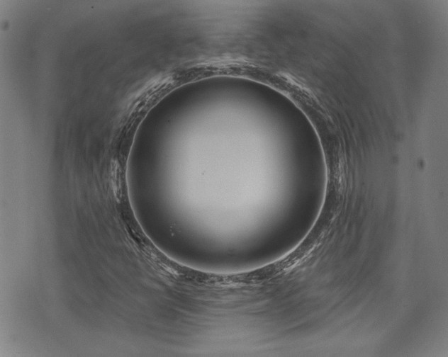 X0000072941398200607211050