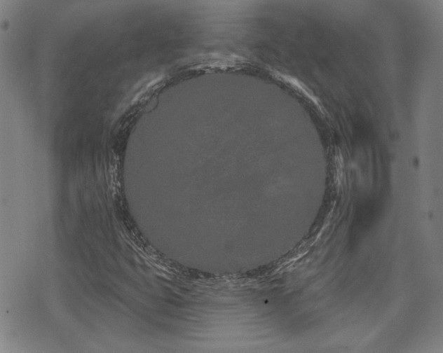 X0000072941399200607211050