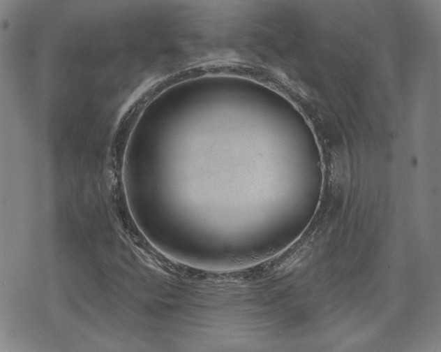 X0000072941400200607211050