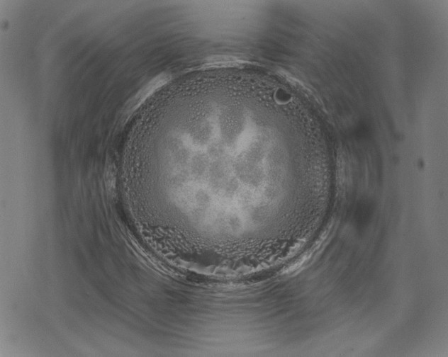 X0000072941401200607211050