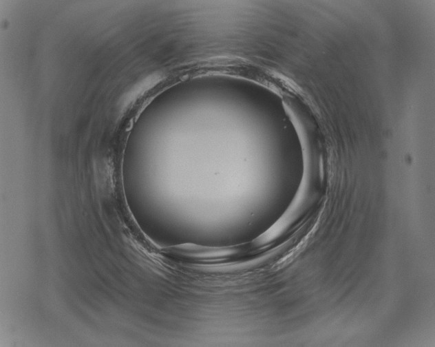 X0000072941402200607211050