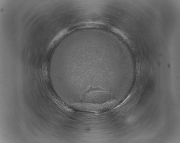 X0000072941403200607211050