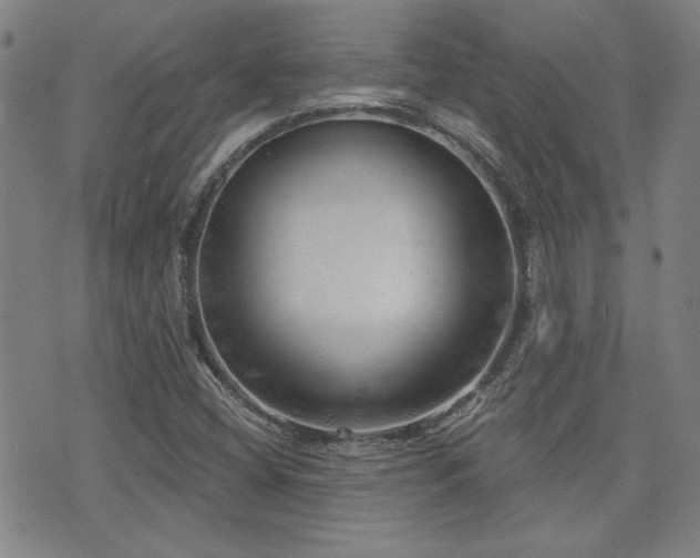 X0000072941404200607211050