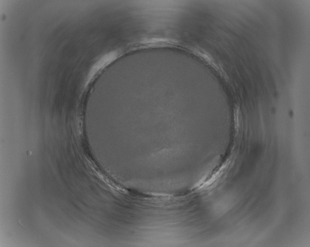 X0000072941405200607211050