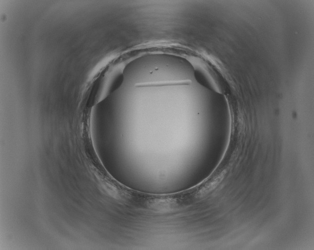 X0000072941406200607211050