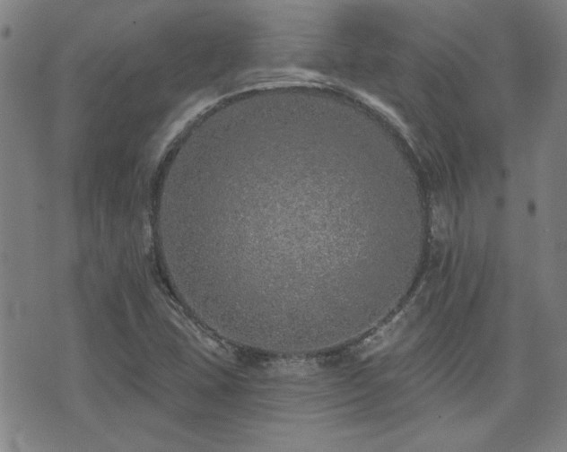 X0000072941407200607211050