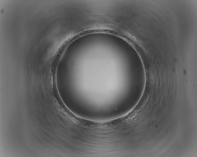 X0000072941408200607211050