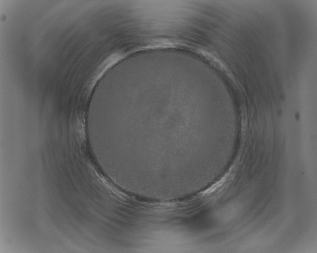 X0000072941409200607211050