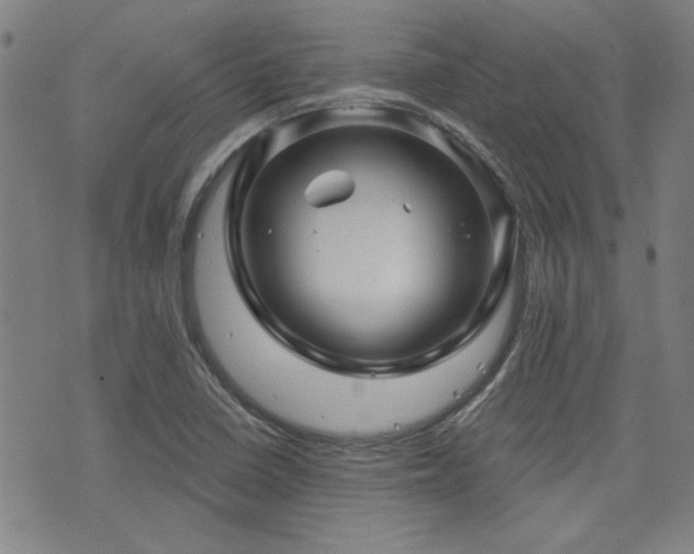 X0000072941410200607211050